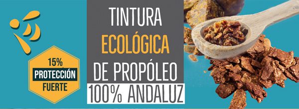 La tintura y extraxto de propóleo hecho por VerdeMiel es recolectado y producido 100% en Andalucía. Úsalo como protector para tu organismo